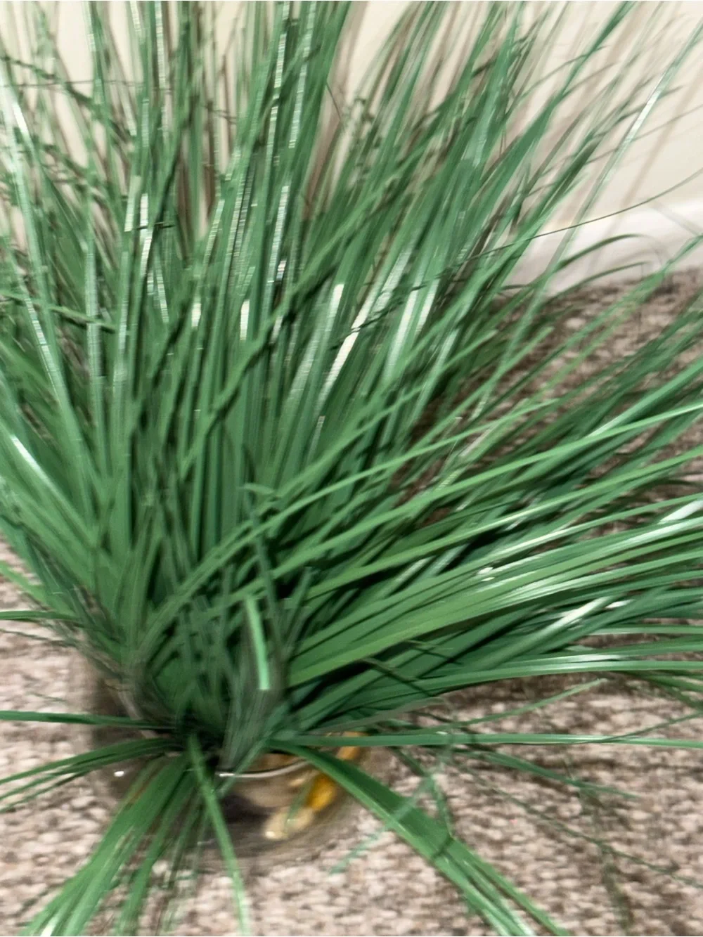 Artificial plant in glass round vase with rocks